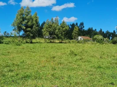 Fazenda/Sítio com 3 Quartos à venda, 2516800m² no Palmeiras (Morro Grande), Araruama