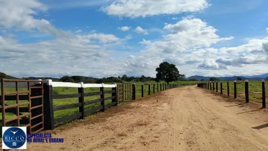 Fazenda/Sítio com 3 Quartos à venda, 114m² no Centro, Montividiu do Norte