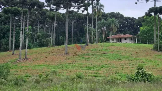 Fazenda/Sítio com 3 Quartos à venda, 1694m² no , Contenda
