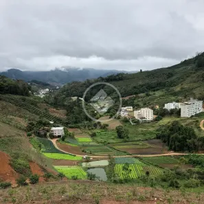 Fazenda/Sítio à venda, 208000m² no Venda Nova do Imigrante, Venda Nova do Imigrante