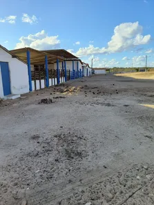 Fazenda/Sítio com 3 Quartos à venda, 1500000m² no , Tangará