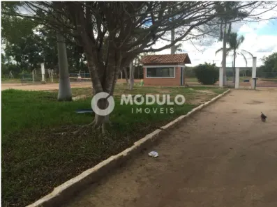 Fazenda/Sítio à venda, 4000m² no , Taiobeiras