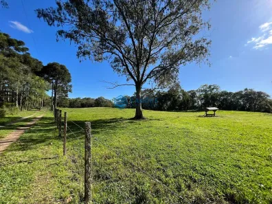 Fazenda/Sítio com 1 Quarto à venda, 57000m² no São Victor COHAB, Caxias do Sul
