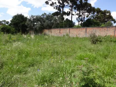 para alugar, 505m² no Contorno, Ponta Grossa