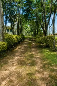 Fazenda/Sítio com 3 Quartos à venda, 20000m² no Centro, Campina Grande do Sul