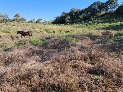 Lote/Terreno à venda, 40000m² no Guareí Velho, Angatuba