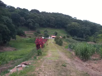 Fazenda/Sítio com 2 Quartos à venda, 60000m² no Parque San Marino, Piracaia