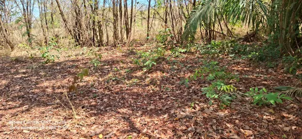 Lote/Terreno à venda, 371m² no Vale do Sol - Gleba 5, Aparecida de Goiânia