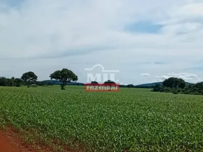 Fazenda/Sítio à venda, 500m² no , Talismã