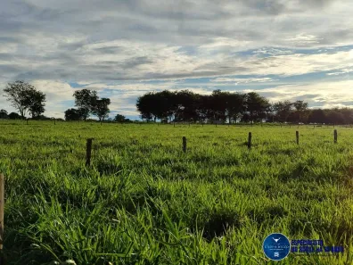 Fazenda/Sítio com 4 Quartos à venda, 8m² no Setor Central, Taquaral de Goiás