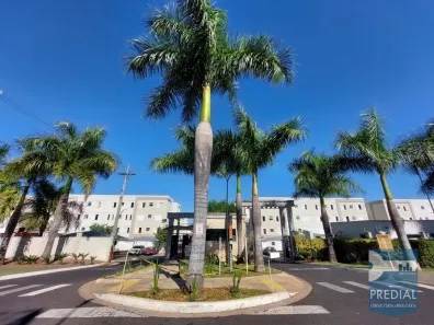 Apartamento com 2 Quartos à venda, 44m² no Parque Fehr, São Carlos