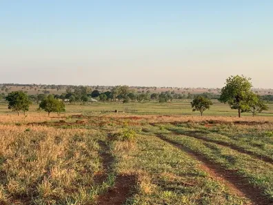 Fazenda/Sítio com 3 Quartos à venda, 512m² no , Ribas do Rio Pardo