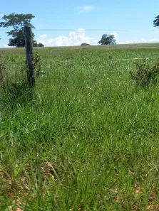 Fazenda/Sítio à venda, 1161m² no Centro, Pontal do Araguaia