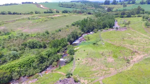 Fazenda/Sítio com 2 Quartos à venda, 200m² no , Carambeí