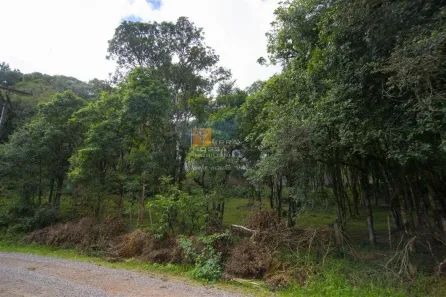 Lote/Terreno à venda, 788m² no Serrano, Caxias do Sul