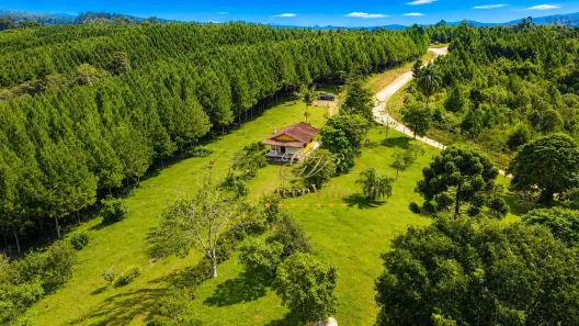 Fazenda/Sítio à venda, 929400m² no Centro, Campo Largo