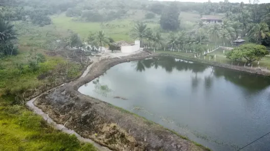 Fazenda/Sítio com 3 Quartos à venda, 800000m² no Rio da Ponte, Goianinha