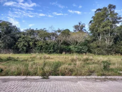 Lote/Terreno à venda, 351m² no Camobi, Santa Maria