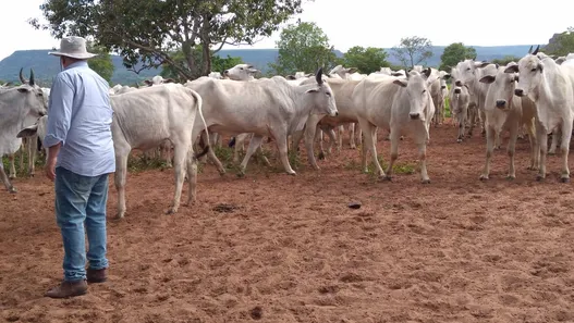 Fazenda/Sítio à venda, 9110000m² no Centro, Guiratinga