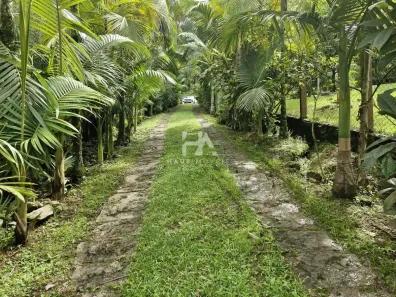 Fazenda/Sítio com 5 Quartos à venda, 200m² no Santa Luzia, Jaraguá do Sul
