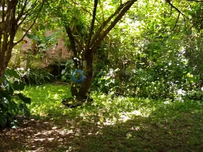 Fazenda/Sítio com 3 Quartos à venda, 327m² no Jardim Olympia, Jacareí