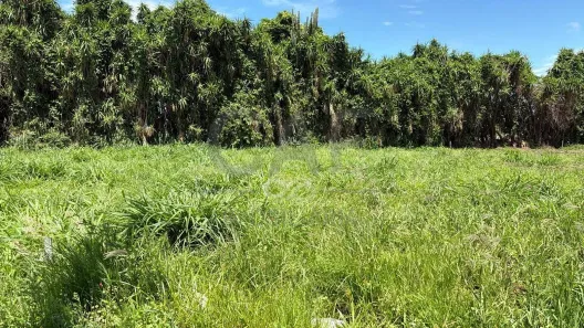 Lote/Terreno à venda, 250m² no Residencial Europa, Holambra