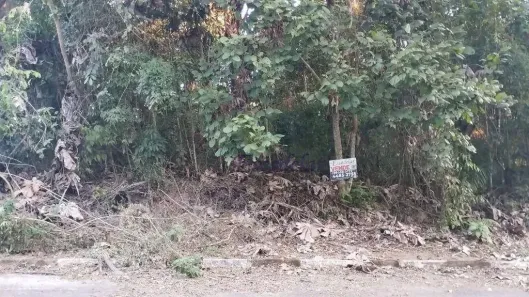 Lote/Terreno à venda, 1500m² no Caraguatá, Mairiporã