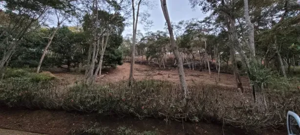 Lote/Terreno à venda, 5000m² no Itaipava, Petrópolis