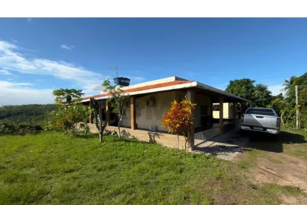 Fazenda/Sítio com 3 Quartos à venda, 20000m² no Capibaribe, São Lourenço da Mata