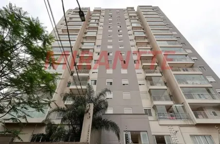 Apartamento com 2 Quartos à venda, 50m² no Vila Dom Pedro II, São Paulo