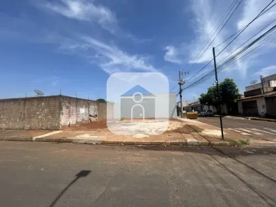Lote/Terreno para alugar, 160m² no Minas Gerais, Uberlândia