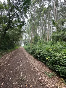 Lote/Terreno à venda, 24m² no , Nova Petrópolis