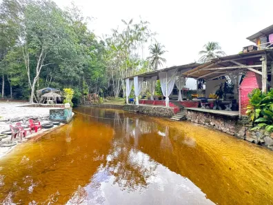 Imóvel Comercial com 8 Quartos à venda, 63534000m² no , Presidente Figueiredo