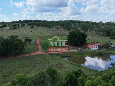 Fazenda/Sítio à venda, 500m² no , Professor Jamil