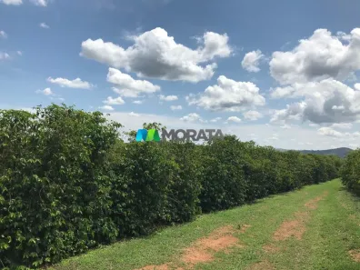 Fazenda/Sítio com 1 Quarto à venda, 240m² no , Campos Altos