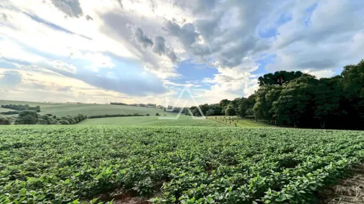 Lote/Terreno à venda, 5000m² no , Ernestina