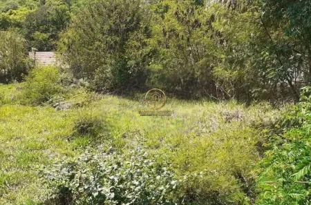 Lote/Terreno à venda, 1000m² no Parque Taquaral, Campinas