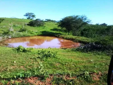 Fazenda/Sítio com 3 Quartos à venda, 950000m² no , São Paulo do Potengi