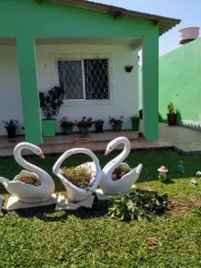 Casa com 3 Quartos à venda, 116m² no Tancredo Neves, Santa Maria