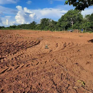 Fazenda/Sítio com 2 Quartos à venda, 242m² no , Cocalinho