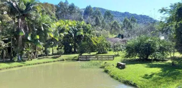 Fazenda/Sítio com 2 Quartos à venda, 230m² no Alto Gasparinho, Gaspar