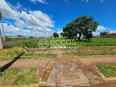 Lote/Terreno à venda, 316m² no Parque das Laranjeiras, Uberaba
