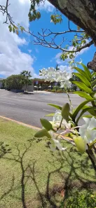Lote/Terreno à venda, 520m² no Ponta Negra, Natal