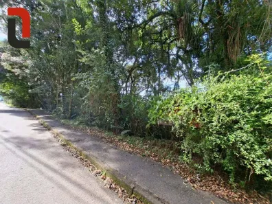 Lote/Terreno à venda, 710m² no Roseira de São Sebastião, São José dos Pinhais