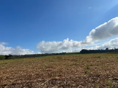 Fazenda/Sítio com 1 Quarto à venda, 13m² no Paranoá, Brasília