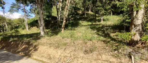 Lote/Terreno à venda, 14411m² no Pedro do Rio, Petrópolis