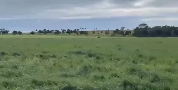 Fazenda/Sítio à venda, 3429000m² no Centro, Coxim