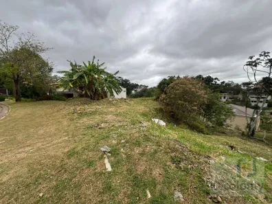 Lote/Terreno à venda, 1239m² no Residencial Tamboré, Barueri