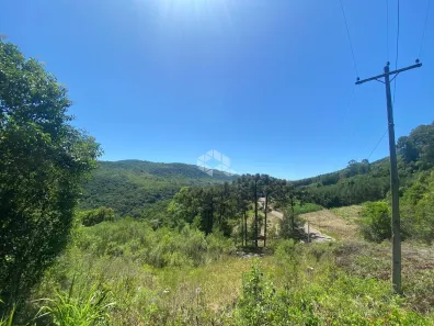 Fazenda/Sítio à venda, 70000m² no Carazal, Gramado