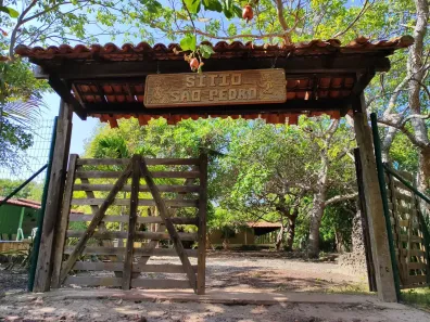 Fazenda/Sítio com 4 Quartos à venda, 2640m² no , Teresina